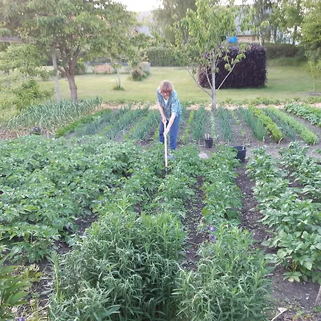 Apartment Fattiggard Gamby