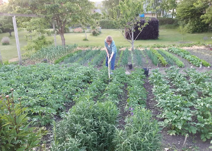 Апартаменты Fattiggard Gamby